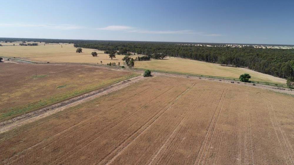 159 LOWER THULE ROAD, BARHAM, NSW 2732