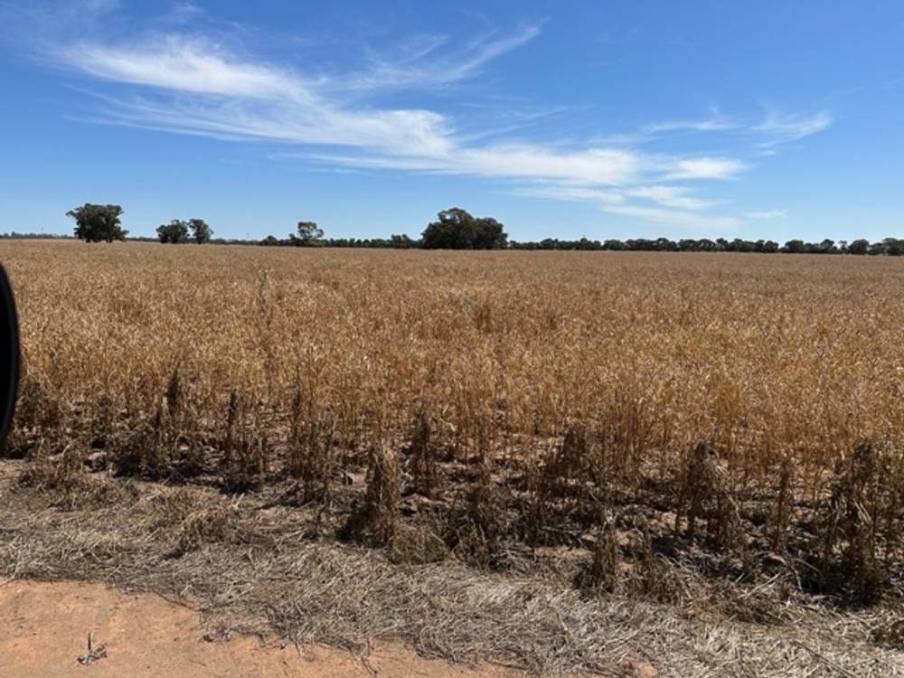 159 LOWER THULE ROAD, BARHAM, NSW 2732
