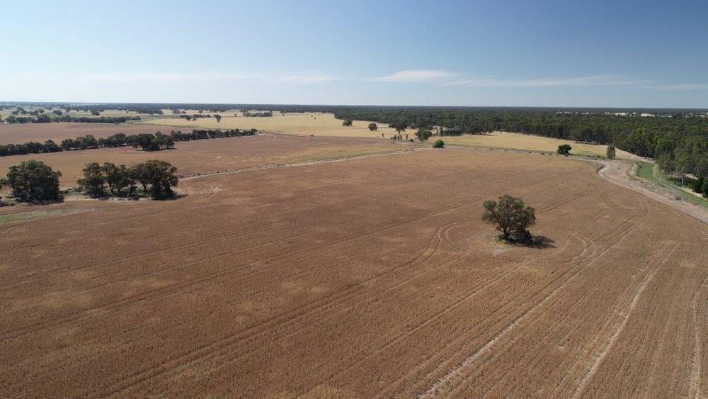 159 LOWER THULE ROAD, BARHAM, NSW 2732