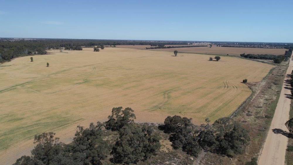 159 LOWER THULE ROAD, BARHAM, NSW 2732