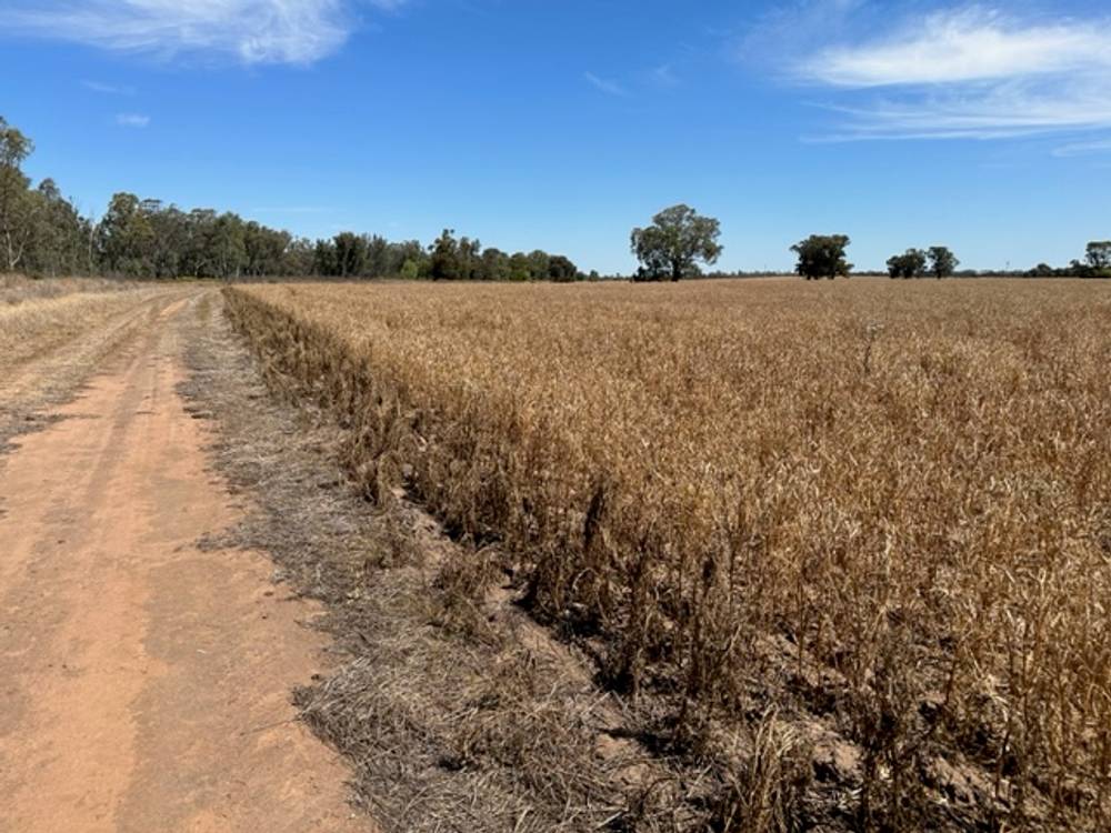 159 LOWER THULE ROAD, BARHAM, NSW 2732