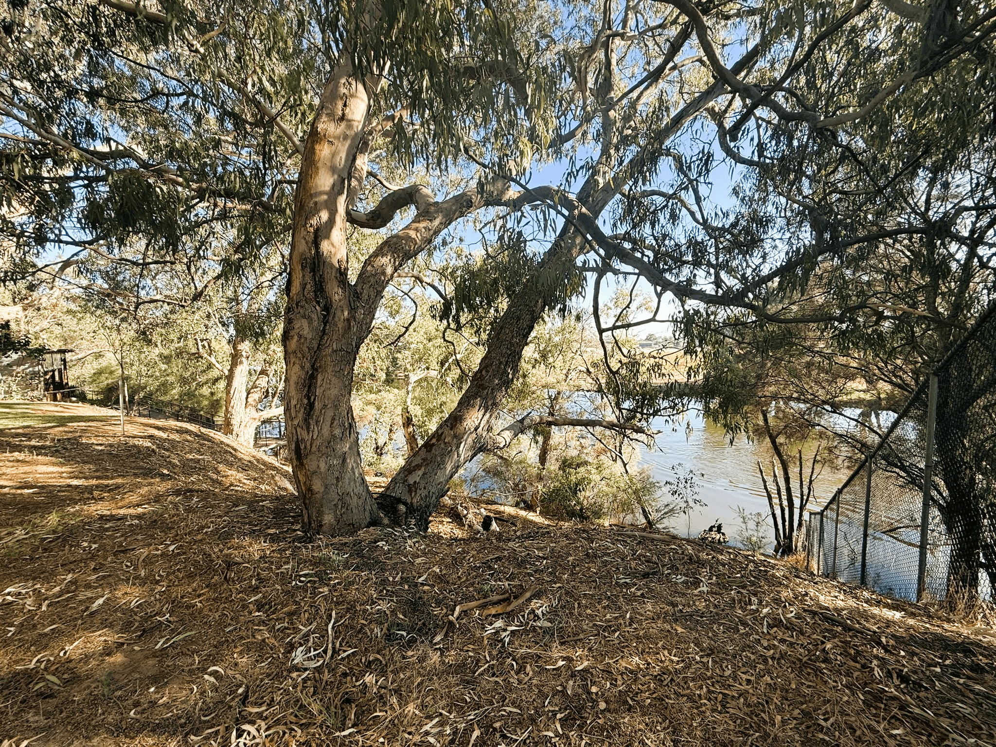 L520 Ford Street, WOODBRIDGE, WA 6056