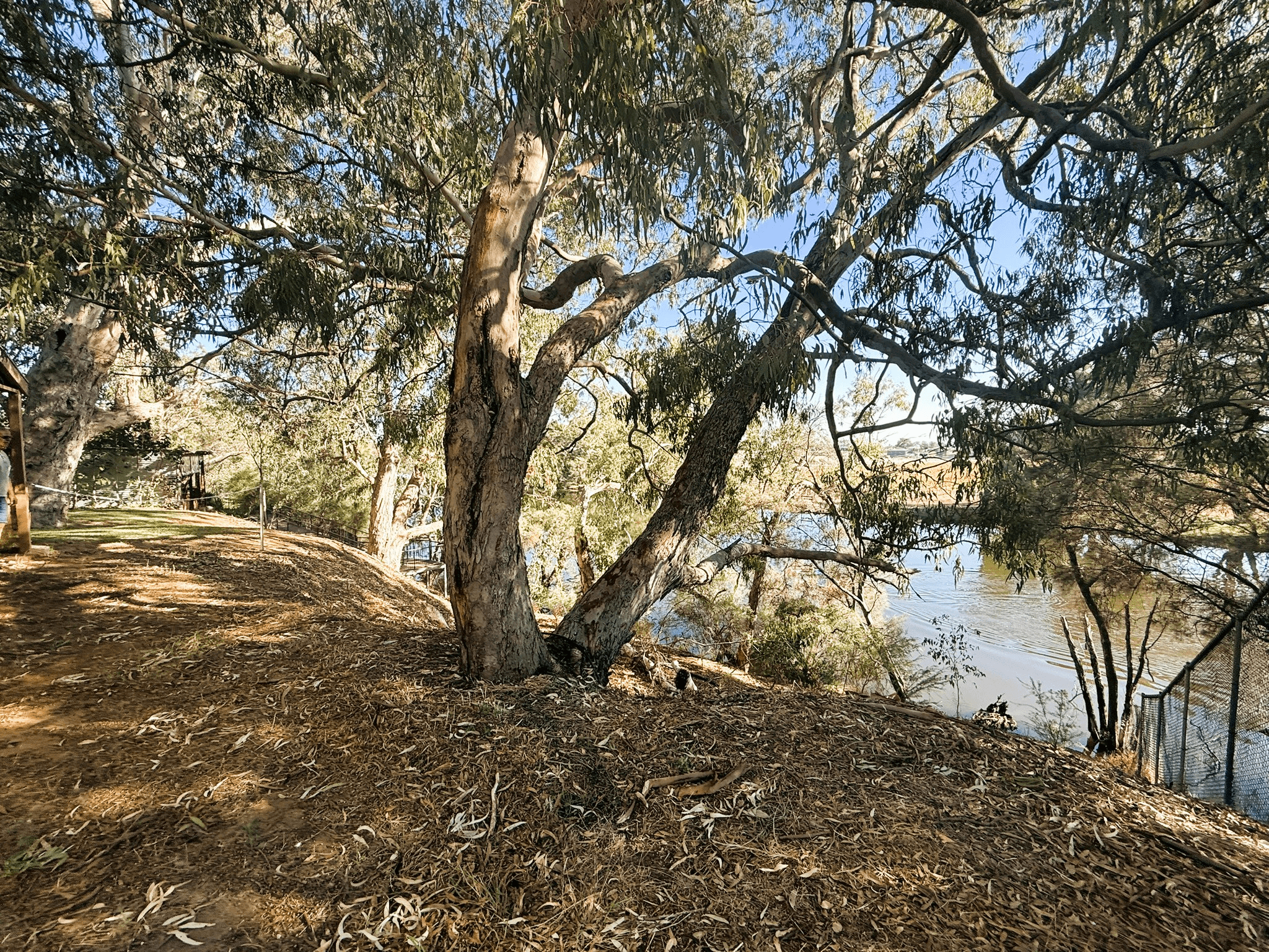 L520 Ford Street, WOODBRIDGE, WA 6056