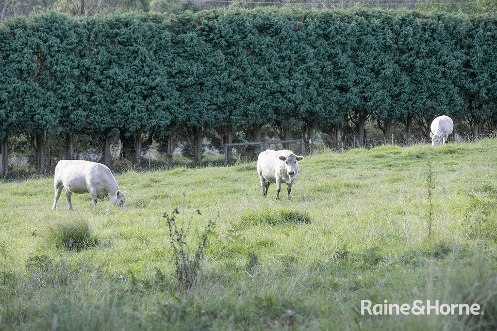 1100 Old South Road, MITTAGONG, NSW 2575