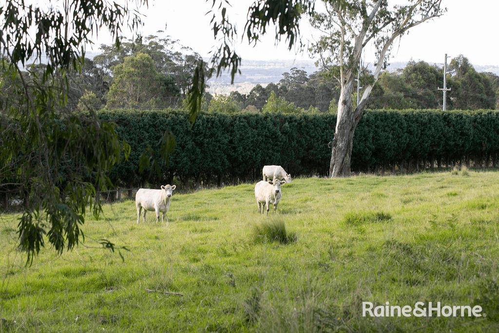 1100 Old South Road, MITTAGONG, NSW 2575