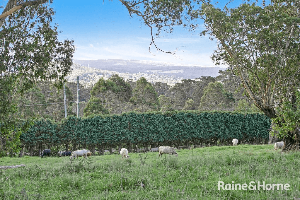 1100 Old South Road, MITTAGONG, NSW 2575