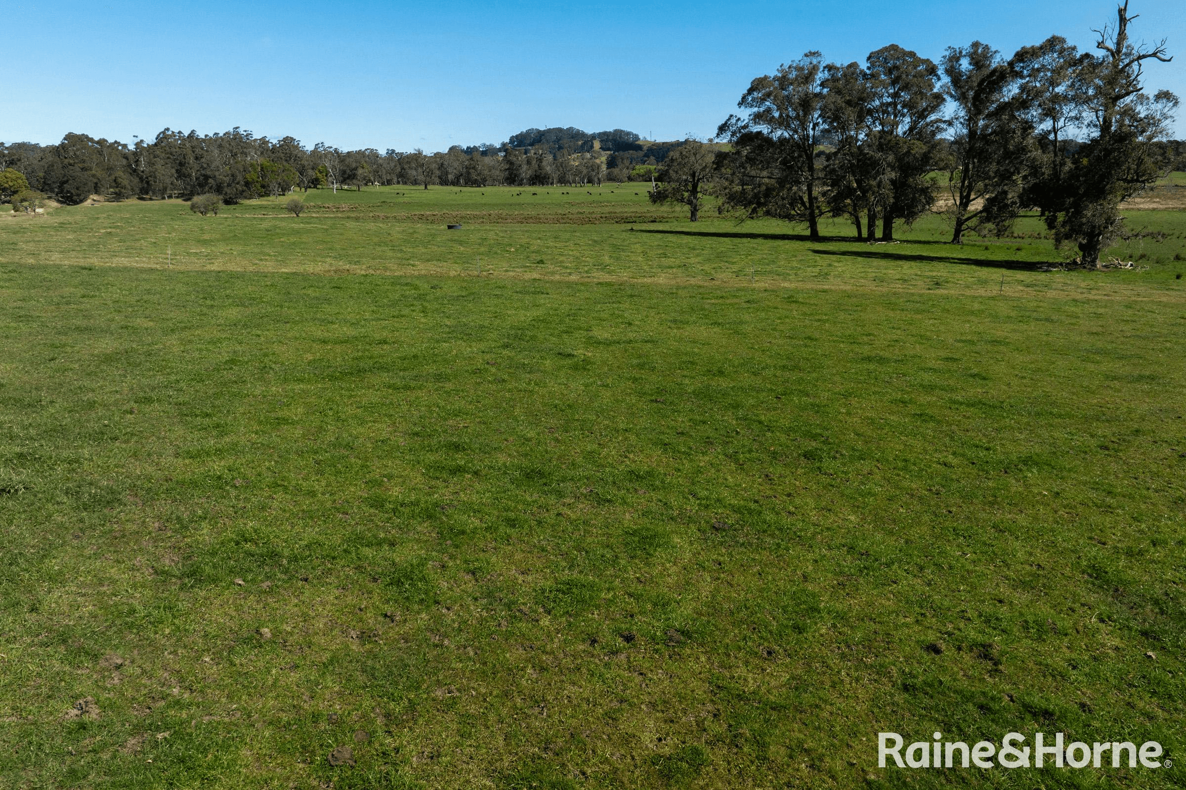 5442 Illawarra Highway, BURRAWANG, NSW 2577