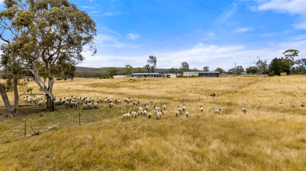 24 Dewsbury Lane, GOULBURN, NSW 2580