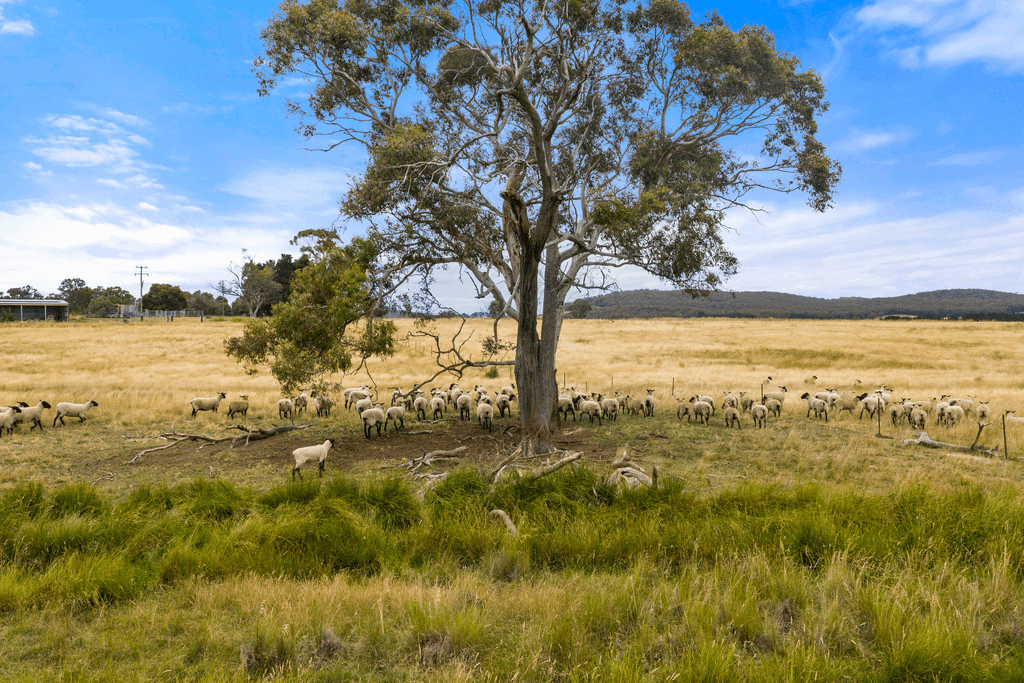 24 Dewsbury Lane, GOULBURN, NSW 2580