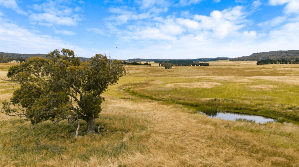 24 Dewsbury Lane, GOULBURN, NSW 2580