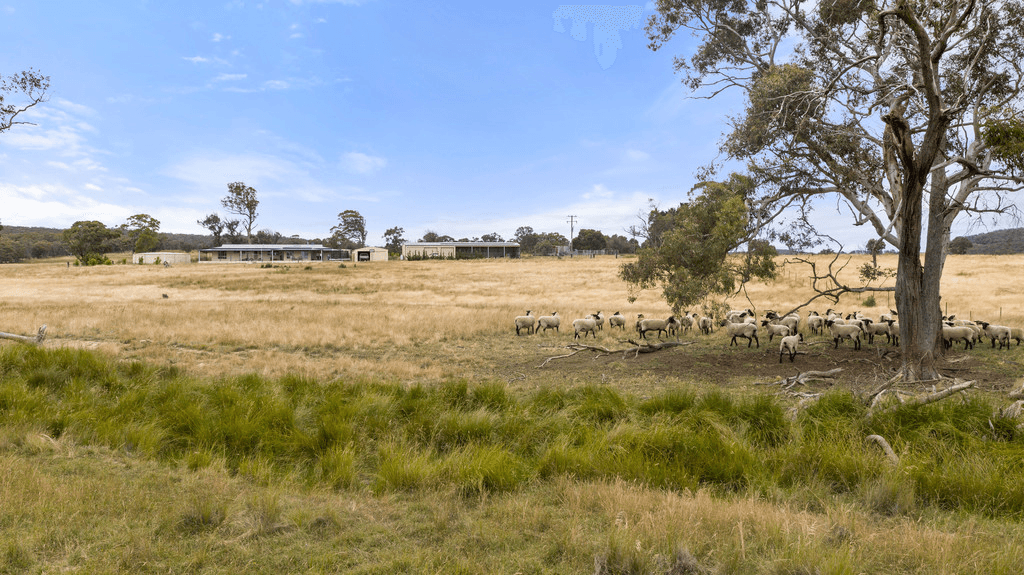 24 Dewsbury Lane, GOULBURN, NSW 2580