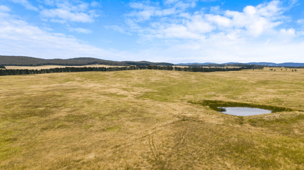 24 Dewsbury Lane, GOULBURN, NSW 2580