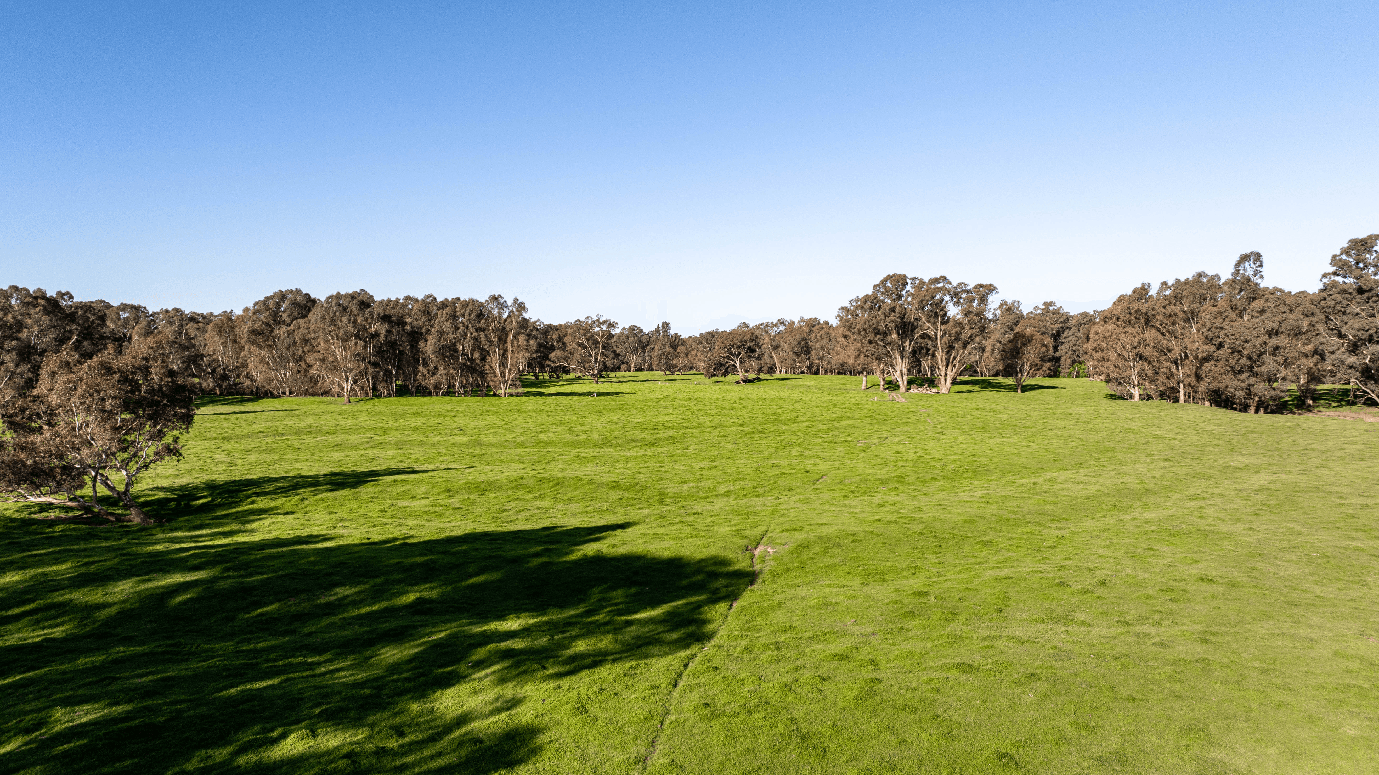 80 Smales Road, SEYMOUR, VIC 3660