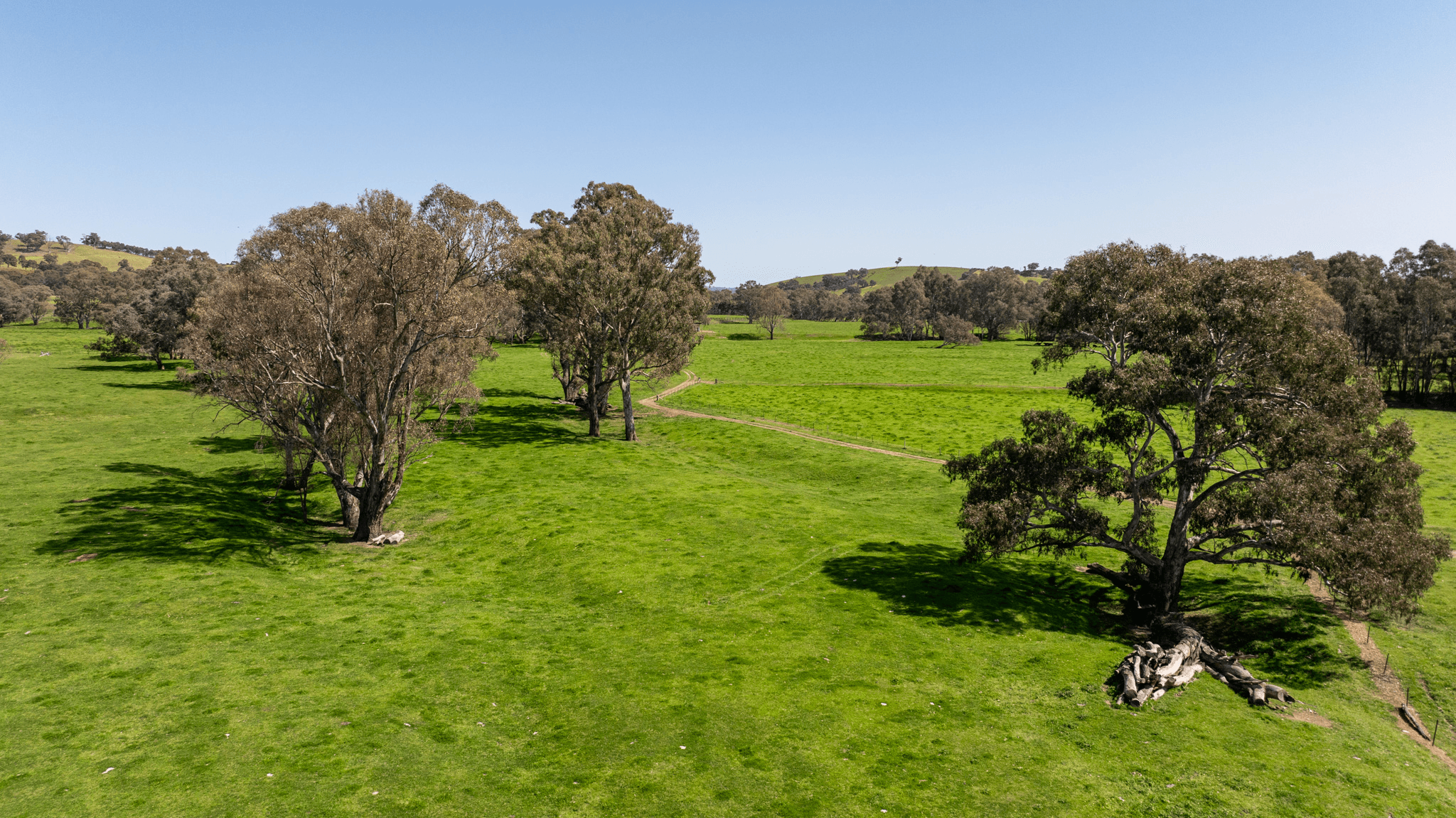 80 Smales Road, SEYMOUR, VIC 3660