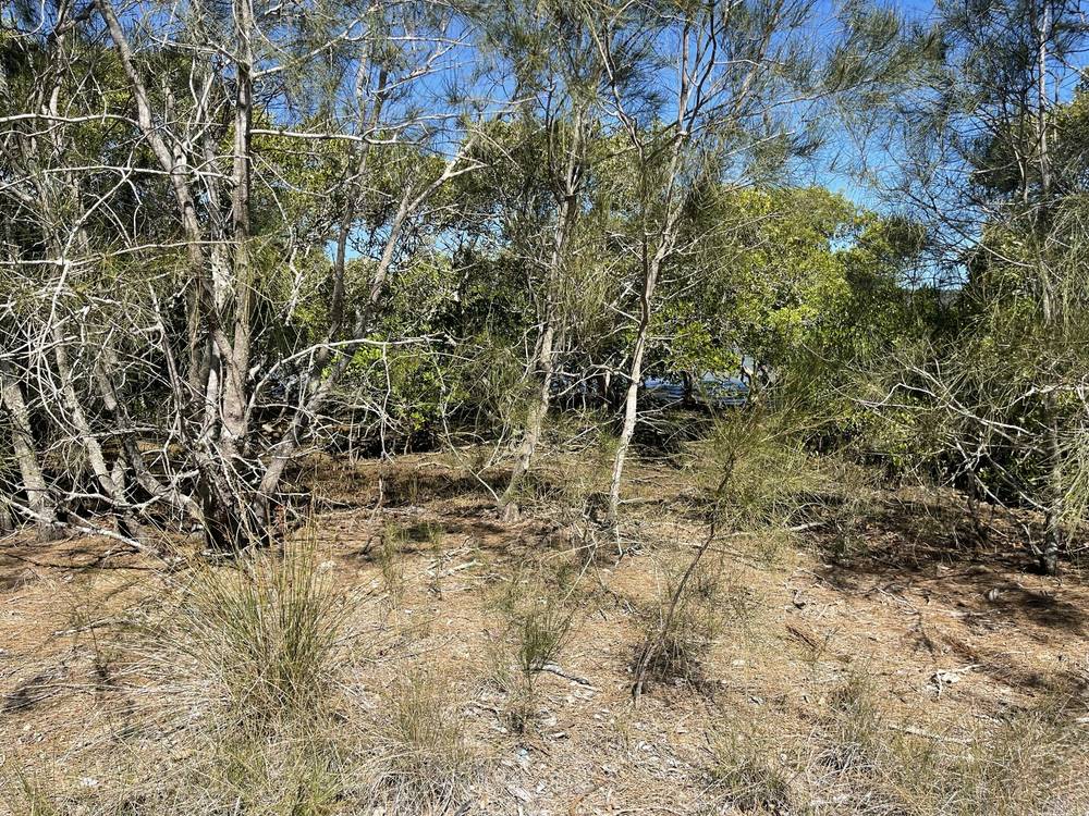 66 Canaipa Point Dr, Russell Island, QLD 4184