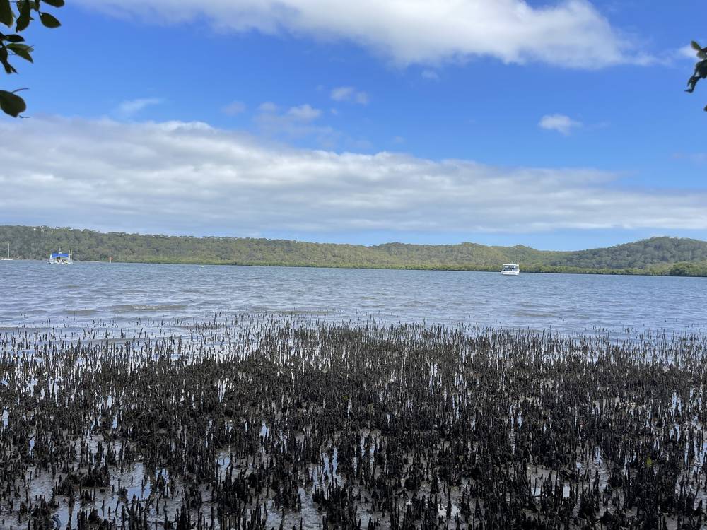 66 Canaipa Point Dr, Russell Island, QLD 4184