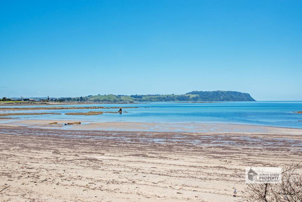 62 Old Bass Highway, WYNYARD, TAS 7325