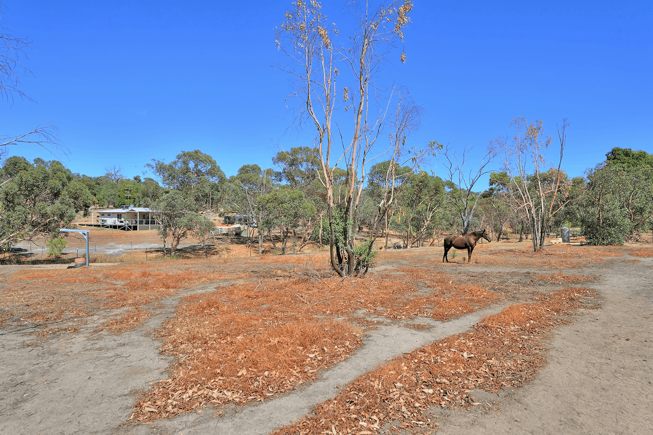 60 Jose Road, BAKERS HILL, WA 6562