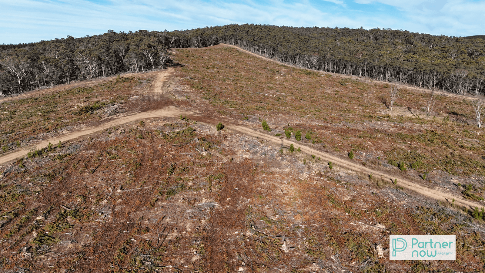 "Cameron's Hill" Delegate Road, DELEGATE, NSW 2633