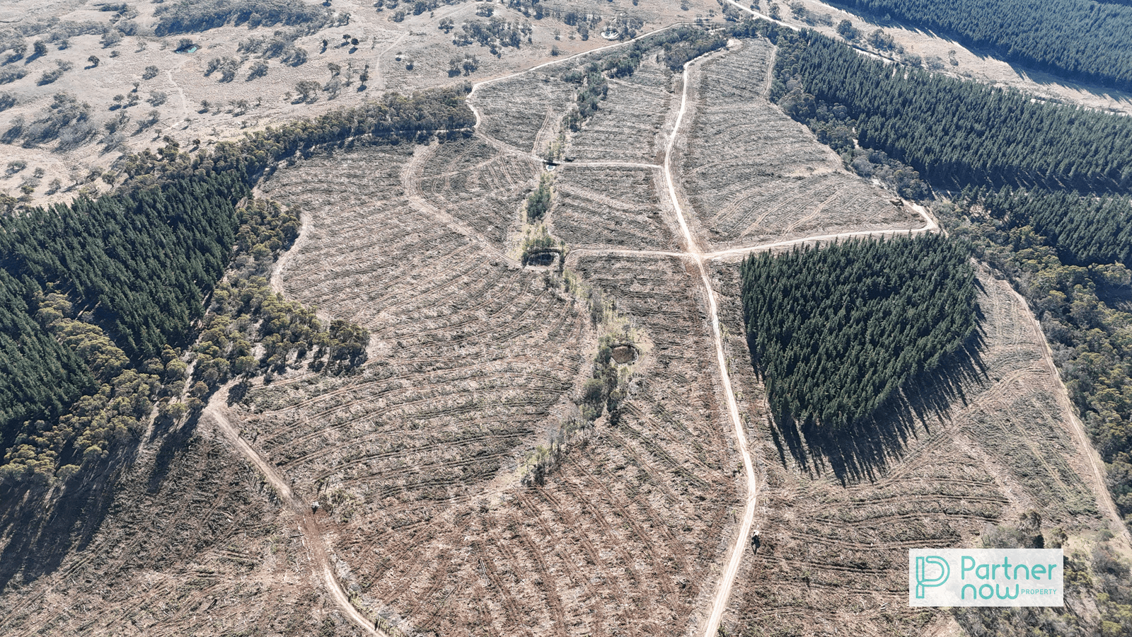 "Cameron's Hill" Delegate Road, DELEGATE, NSW 2633