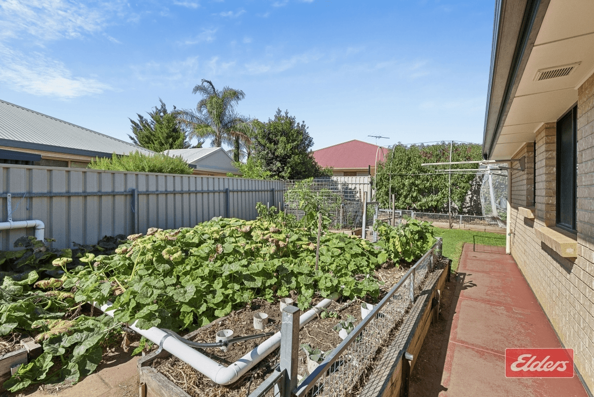 12 Gleeson Grove, Evanston Park, SA 5116