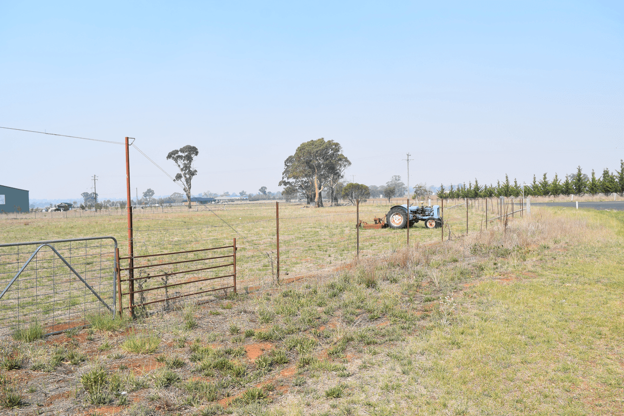 252 Baldersleigh Road, GUYRA, NSW 2365