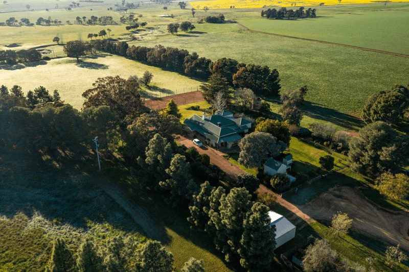 1679 Stockinbingal Road, COOTAMUNDRA, NSW 2590