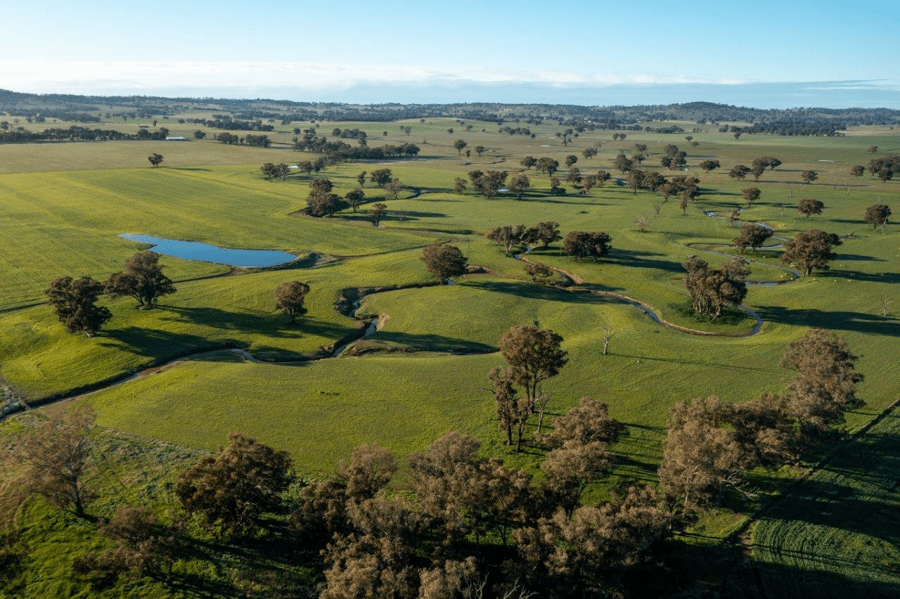 1679 Stockinbingal Road, COOTAMUNDRA, NSW 2590