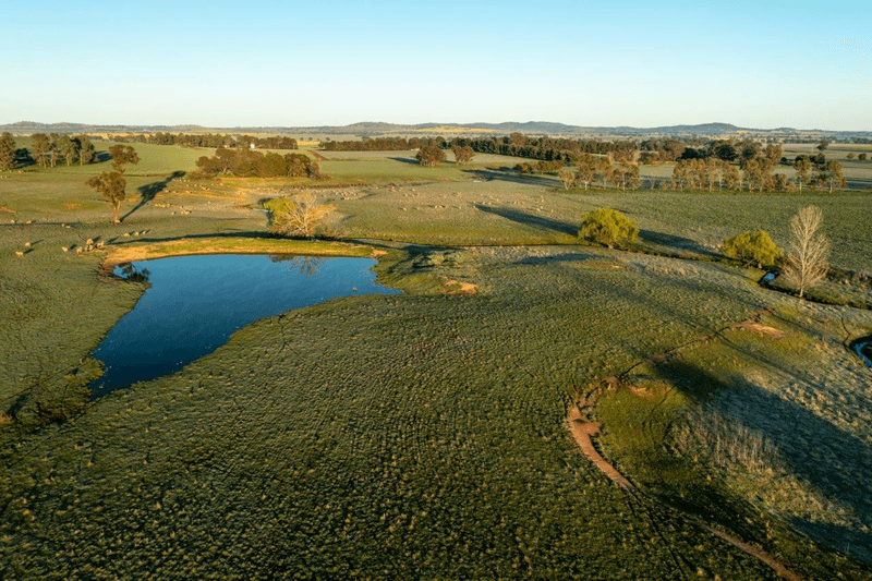 1679 Stockinbingal Road, COOTAMUNDRA, NSW 2590