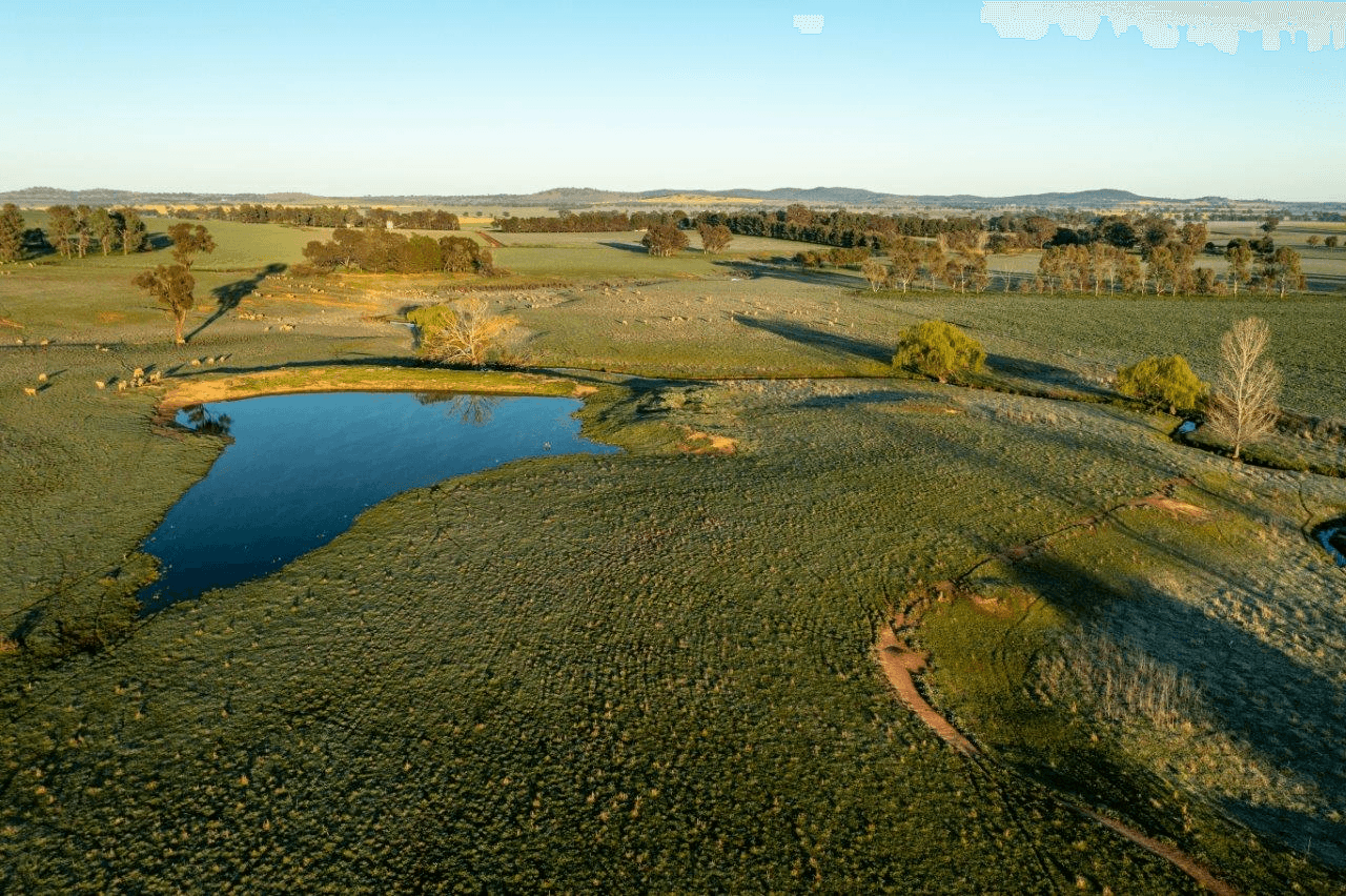 1679 Stockinbingal Road, COOTAMUNDRA, NSW 2590