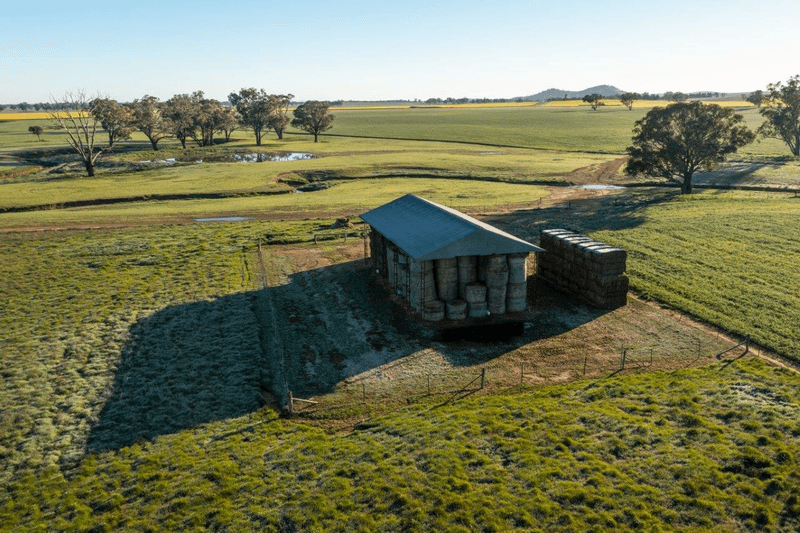 1679 Stockinbingal Road, COOTAMUNDRA, NSW 2590