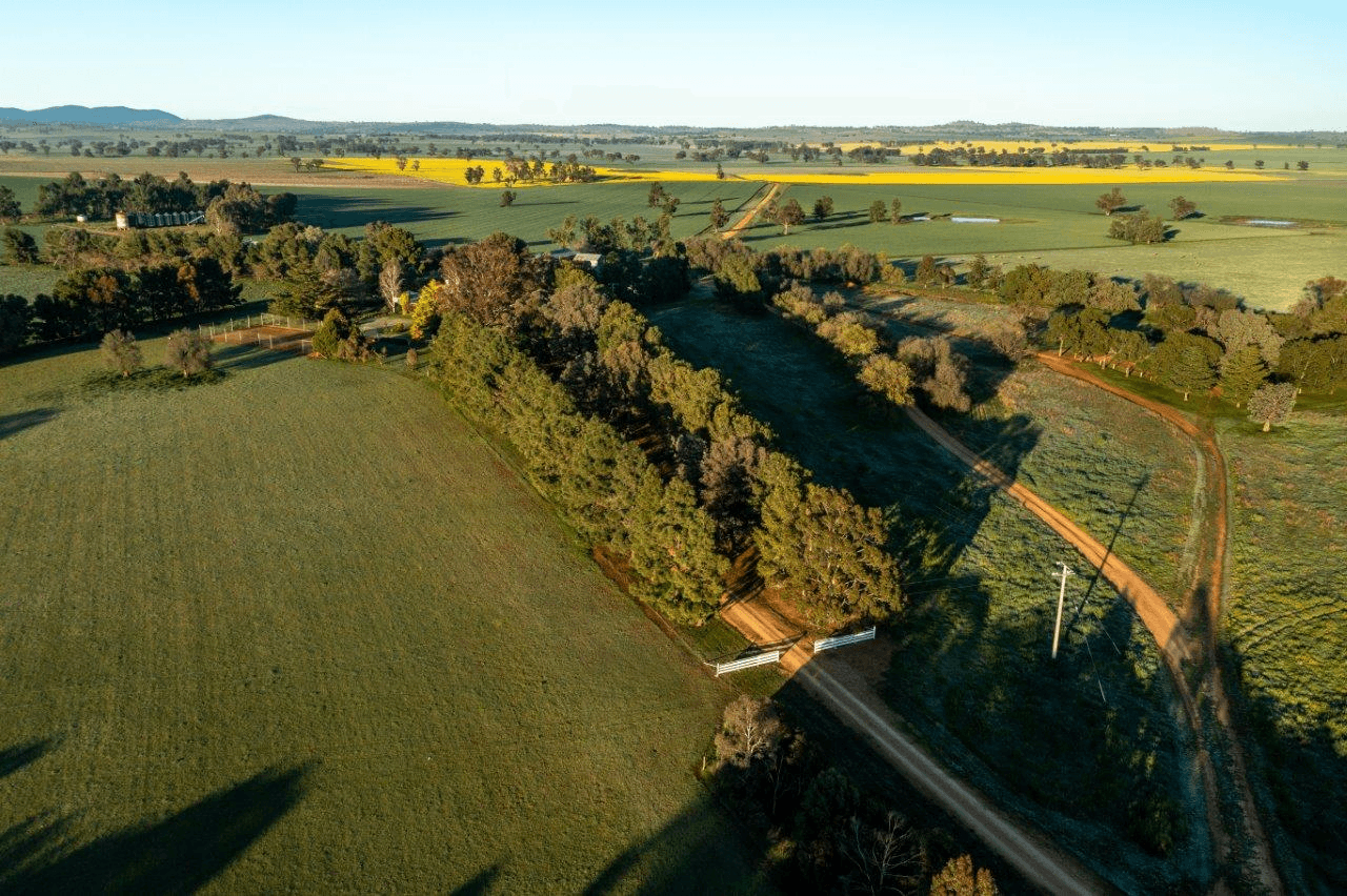 1679 Stockinbingal Road, COOTAMUNDRA, NSW 2590