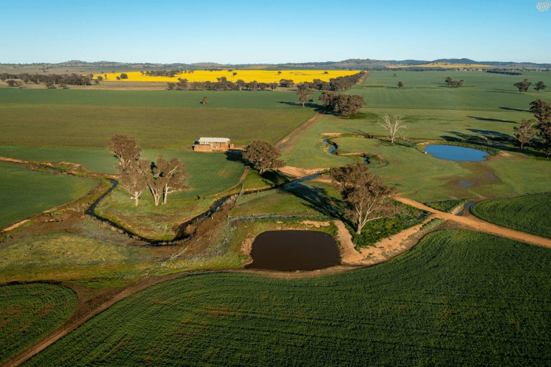 1679 Stockinbingal Road, COOTAMUNDRA, NSW 2590