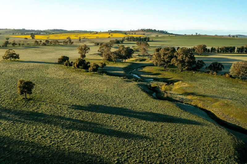 1679 Stockinbingal Road, COOTAMUNDRA, NSW 2590