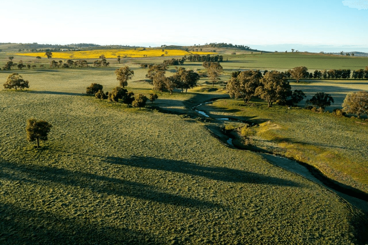 1679 Stockinbingal Road, COOTAMUNDRA, NSW 2590