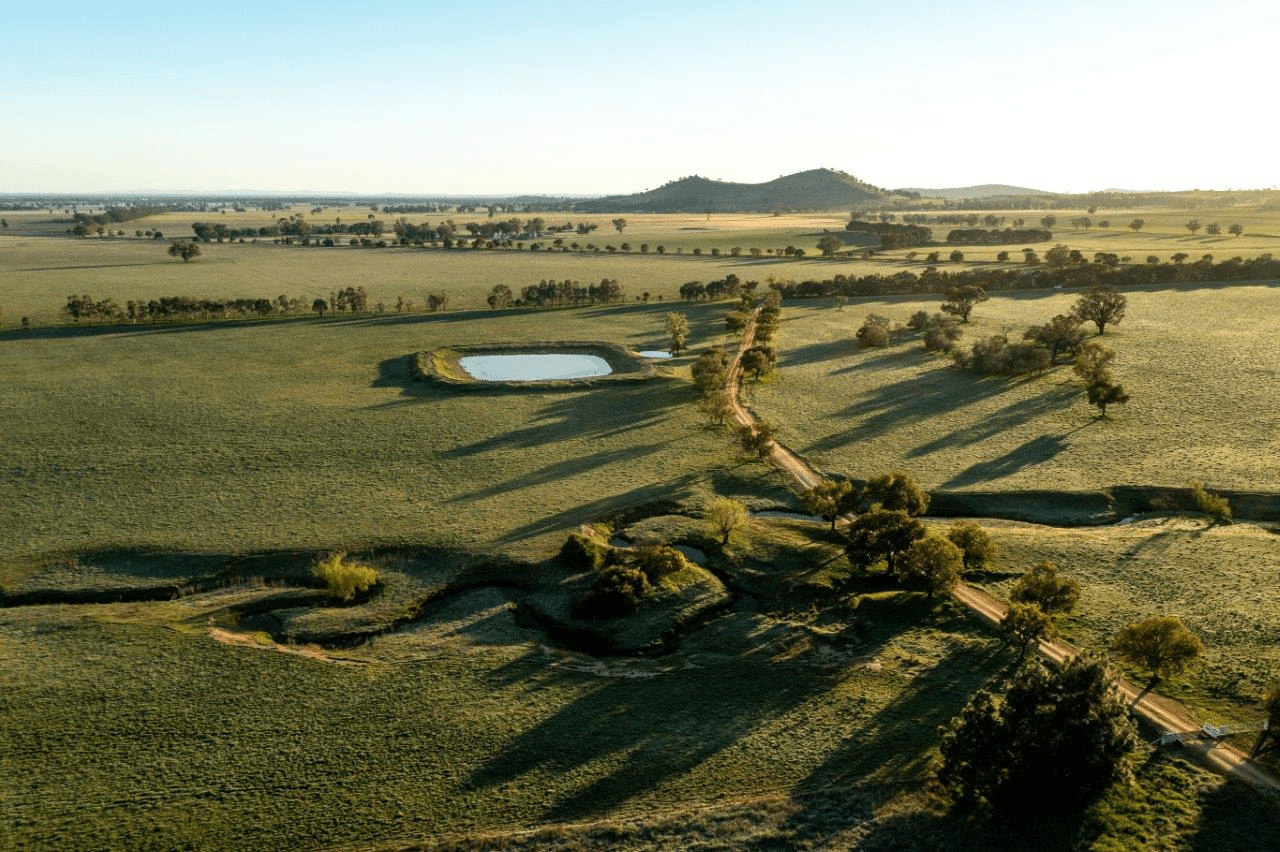 1679 Stockinbingal Road, COOTAMUNDRA, NSW 2590