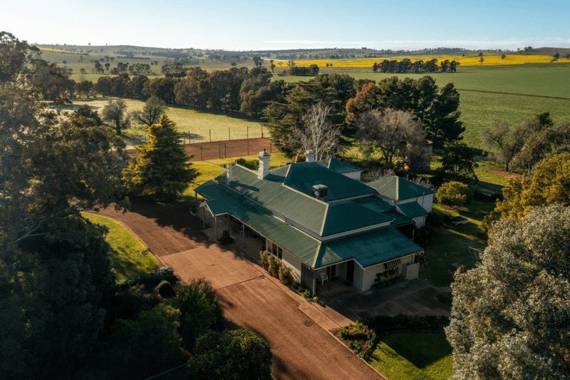 1679 Stockinbingal Road, COOTAMUNDRA, NSW 2590