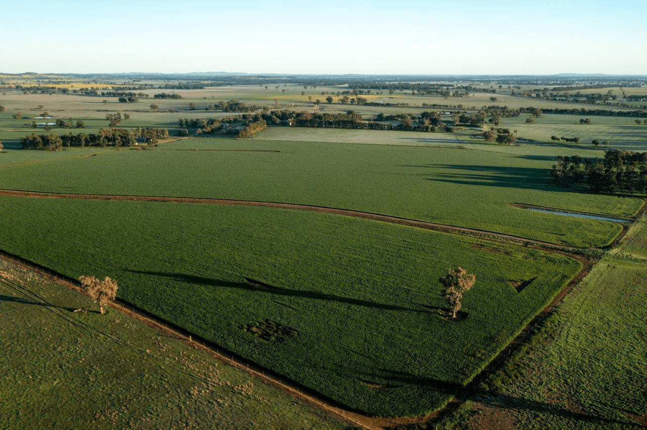 1679 Stockinbingal Road, COOTAMUNDRA, NSW 2590