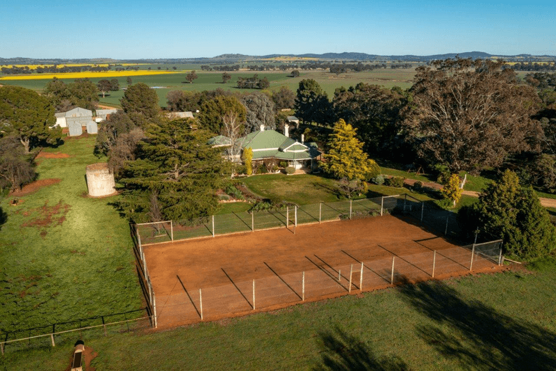 1679 Stockinbingal Road, COOTAMUNDRA, NSW 2590