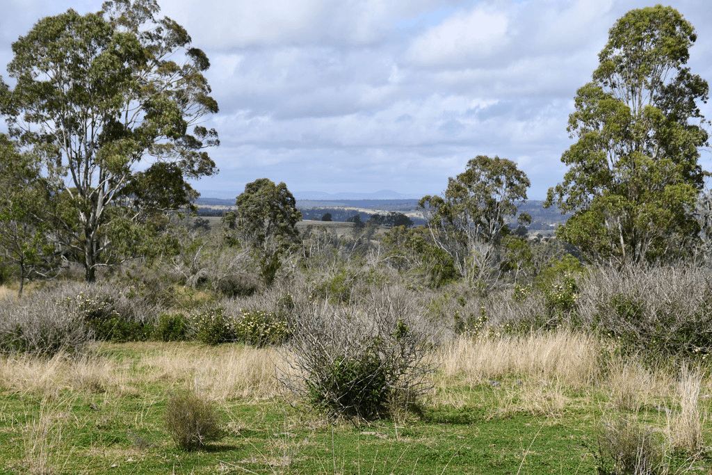 Lot 320 Coalbank Boundary Road, DOCTOR CREEK, QLD 4352