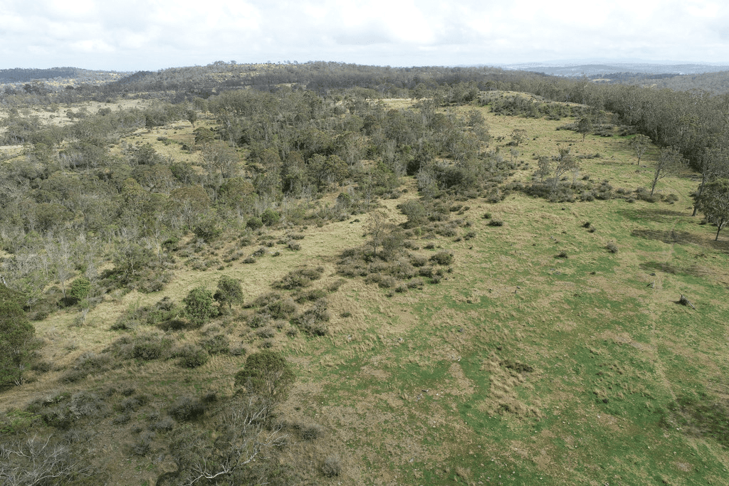 Lot 320 Coalbank Boundary Road, DOCTOR CREEK, QLD 4352