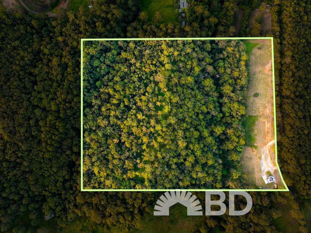 111 Laidlaw Street, DAYBORO, QLD 4521