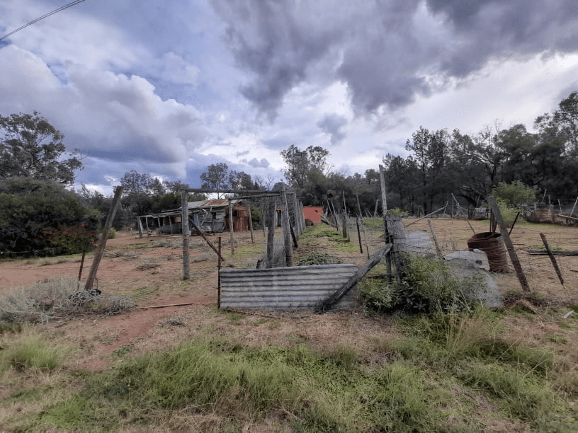 3 Bligh Street, BINGARA, NSW 2404