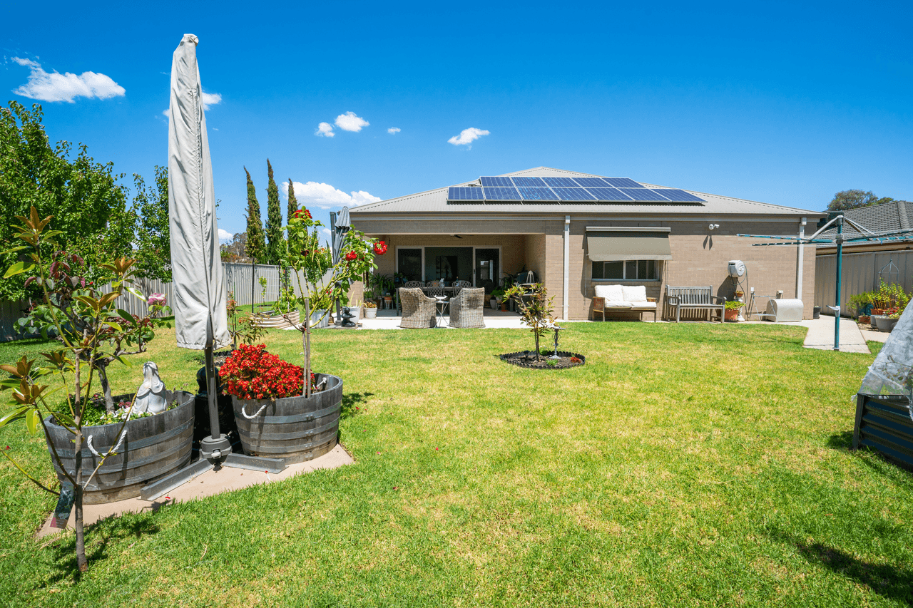 169 Rivergum Drive, EAST ALBURY, NSW 2640