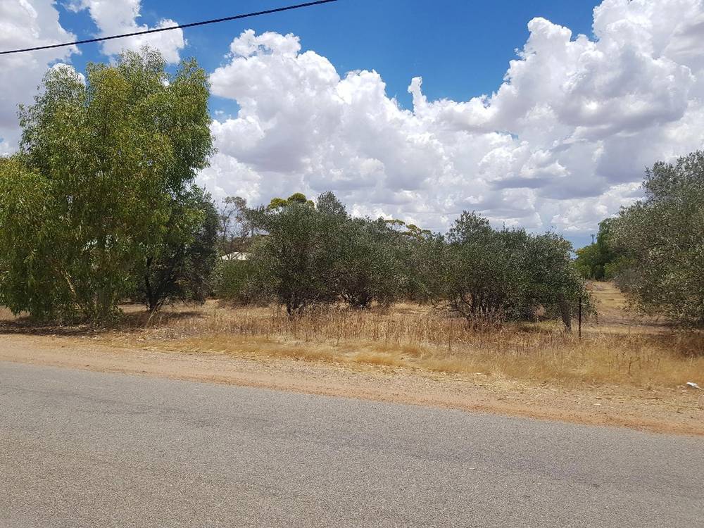 68 Ranfurly Street, Moora, WA 6510