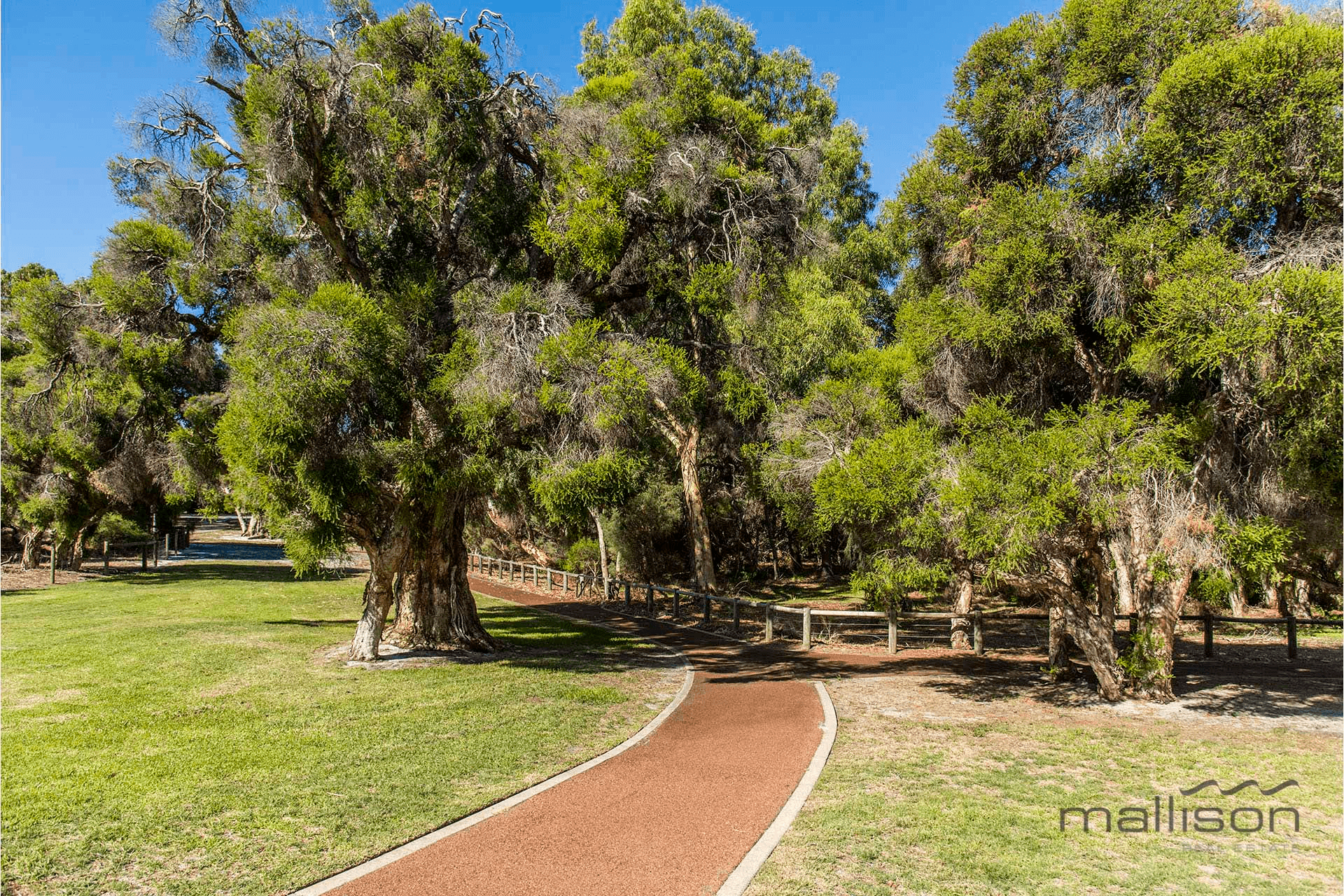 8 Othela Parkway, LEEMING, WA 6149