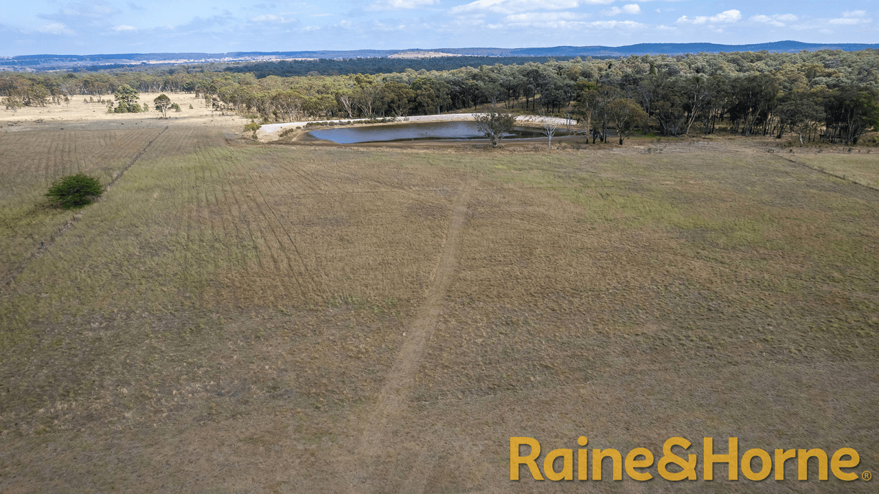 558 Patrick Road, DUNEDOO, NSW 2844