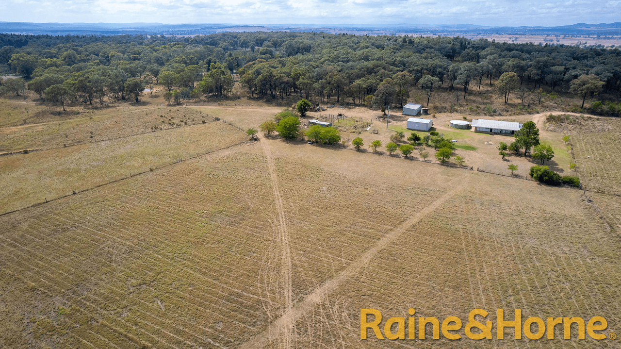 558 Patrick Road, DUNEDOO, NSW 2844