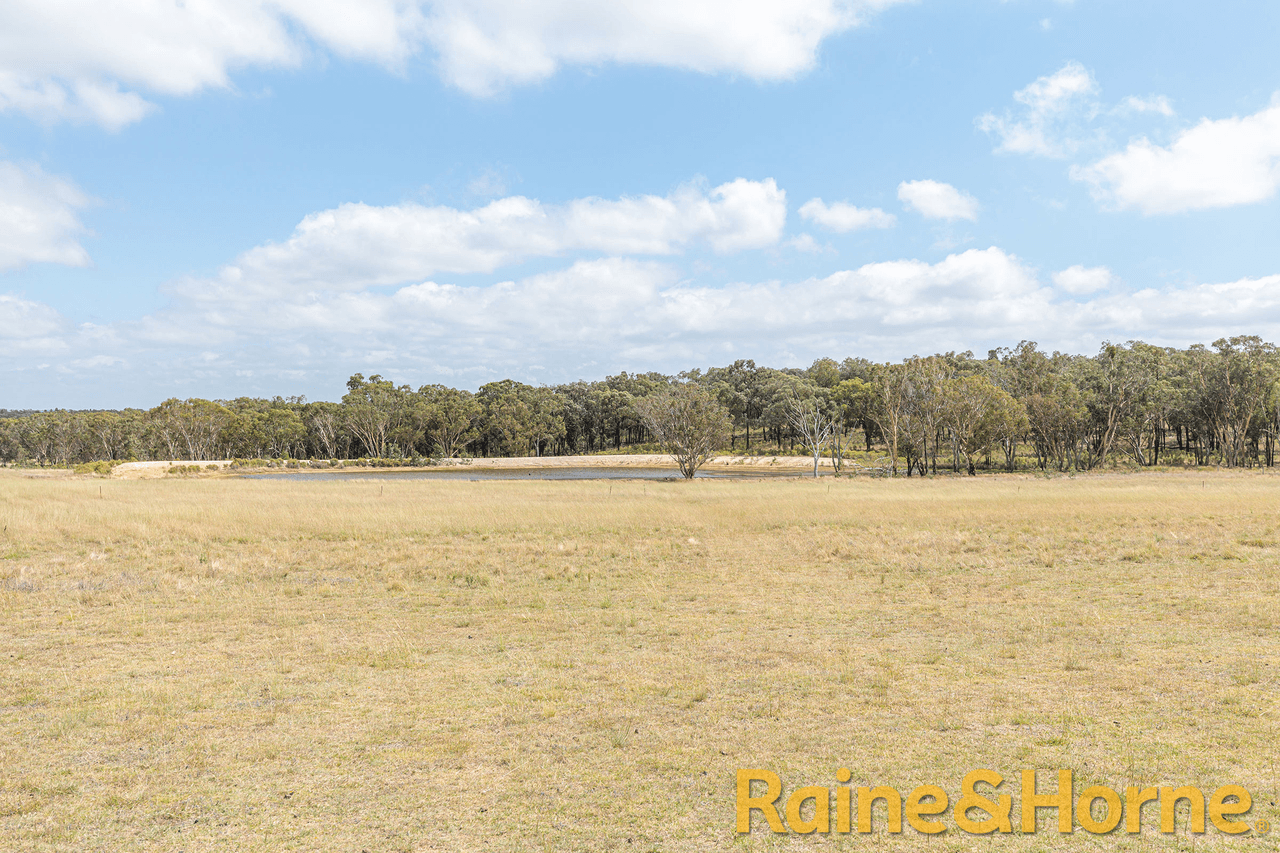 558 Patrick Road, DUNEDOO, NSW 2844