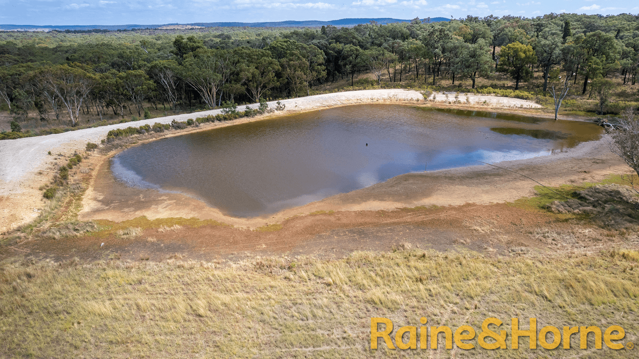 558 Patrick Road, DUNEDOO, NSW 2844